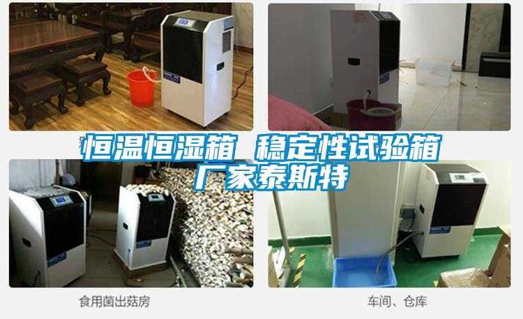 恒溫恒濕箱 穩定性試驗箱 廠家泰斯特