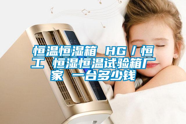 恒溫恒濕箱 HG／恒工 恒濕恒溫試驗箱廠家 一臺多少錢