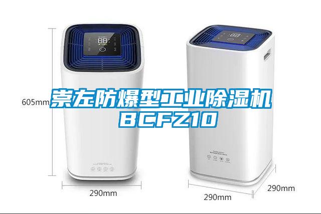 崇左防爆型工業除濕機 BCFZ10