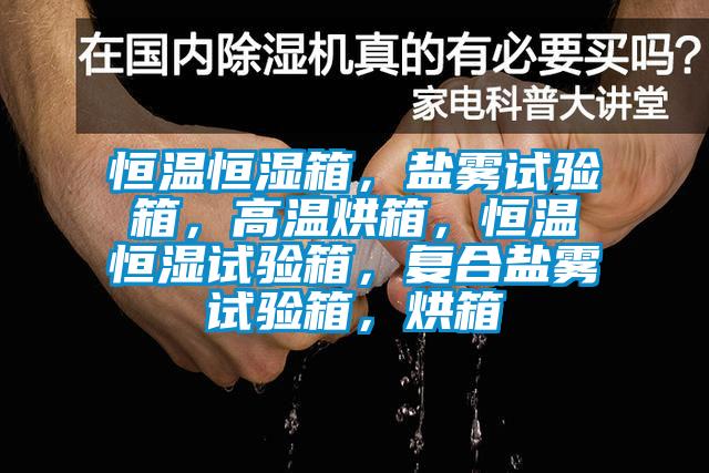 恒溫恒濕箱，鹽霧試驗箱，高溫烘箱，恒溫恒濕試驗箱，復合鹽霧試驗箱，烘箱
