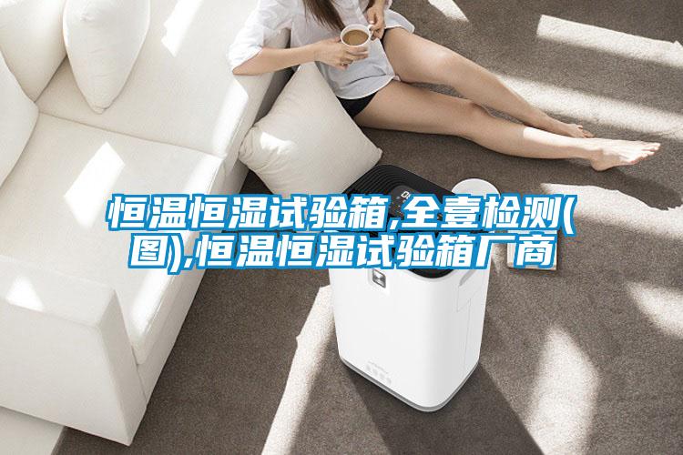 恒溫恒濕試驗(yàn)箱,全壹檢測(cè)(圖),恒溫恒濕試驗(yàn)箱廠商