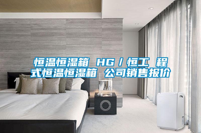 恒溫恒濕箱 HG／恒工 程式恒溫恒濕箱 公司銷售報價
