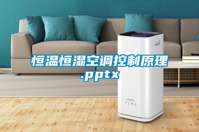 恒溫恒濕空調控制原理.pptx