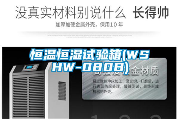 恒溫恒濕試驗(yàn)箱(WSHW-080B)