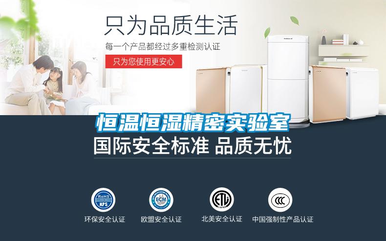 恒溫恒濕精密實驗室