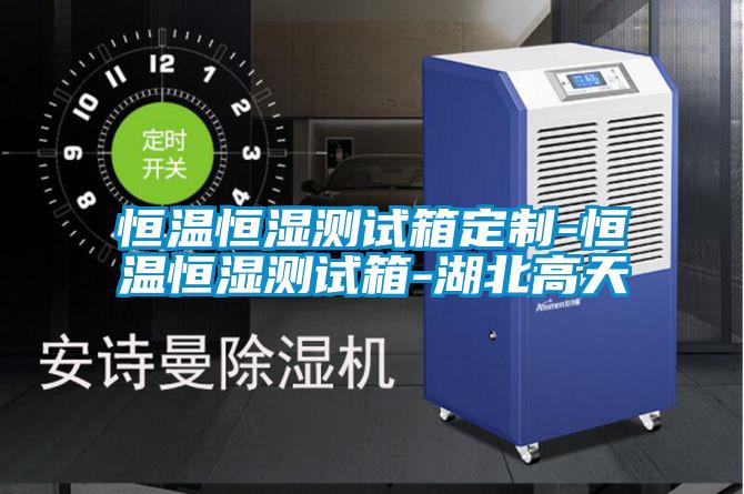 恒溫恒濕測(cè)試箱定制-恒溫恒濕測(cè)試箱-湖北高天