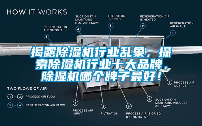 揭露除濕機(jī)行業(yè)亂象，探索除濕機(jī)行業(yè)十大品牌，除濕機(jī)哪個牌子最好！