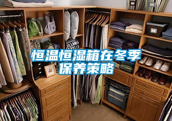恒溫恒濕箱在冬季保養策略