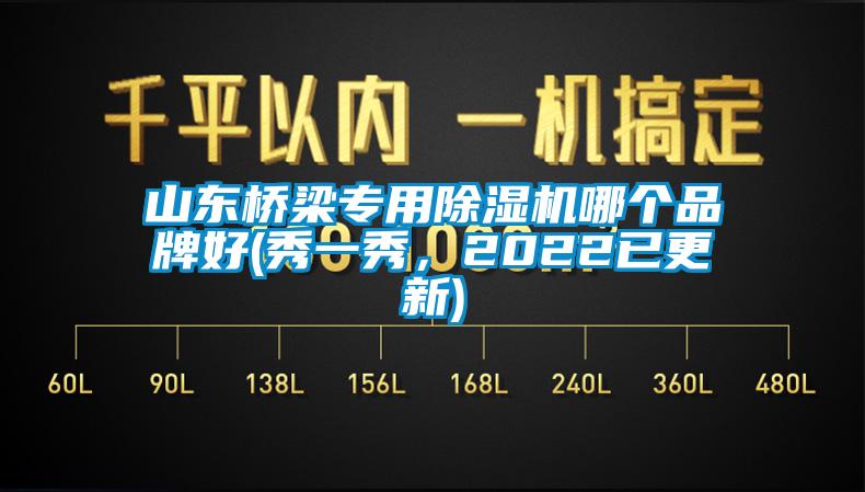 山東橋梁專用除濕機哪個品牌好(秀一秀，2022已更新)