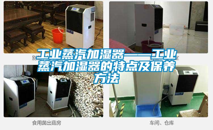 工業蒸汽加濕器——工業蒸汽加濕器的特點及保養方法