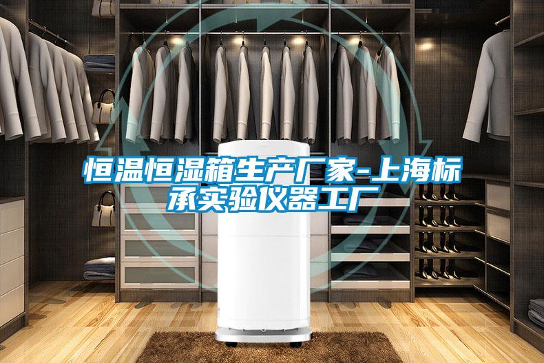 恒溫恒濕箱生產(chǎn)廠家-上海標(biāo)承實(shí)驗(yàn)儀器工廠