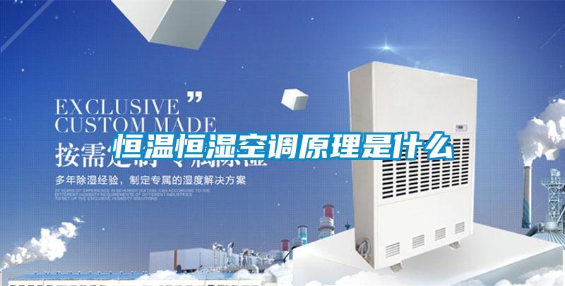 恒溫恒濕空調原理是什么