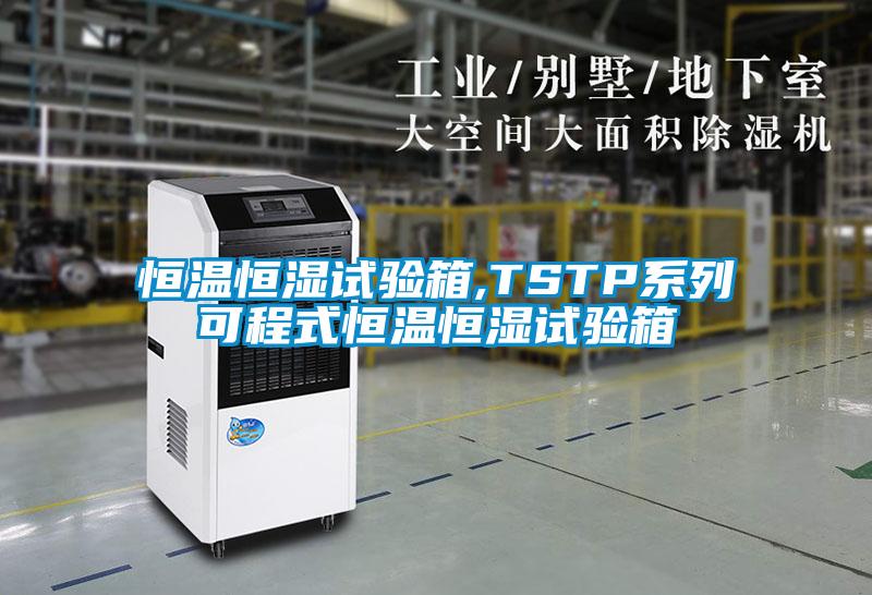 恒溫恒濕試驗(yàn)箱,TSTP系列可程式恒溫恒濕試驗(yàn)箱