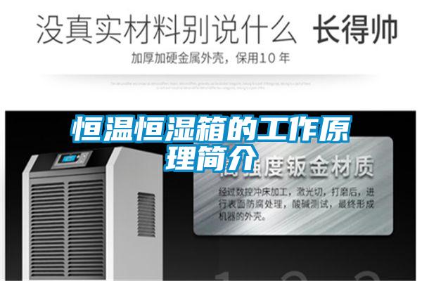 恒溫恒濕箱的工作原理簡介