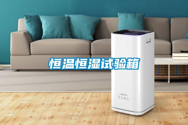 恒溫恒濕試驗箱