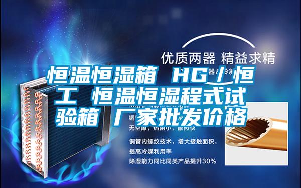 恒溫恒濕箱 HG／恒工 恒溫恒濕程式試驗箱 廠家批發價格