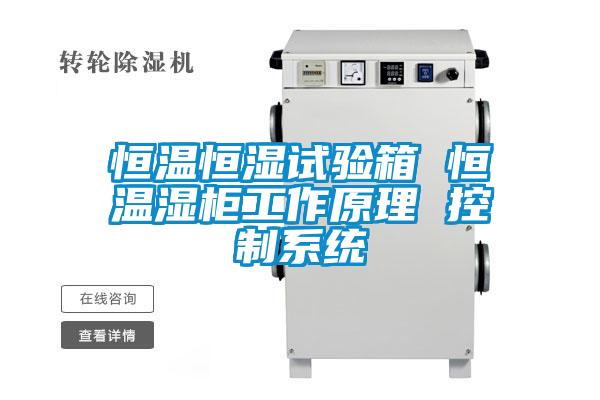 恒溫恒濕試驗箱 恒溫濕柜工作原理 控制系統(tǒng)