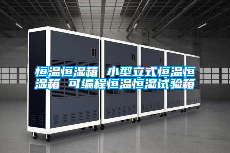 恒溫恒濕箱 小型立式恒溫恒濕箱 可編程恒溫恒濕試驗箱
