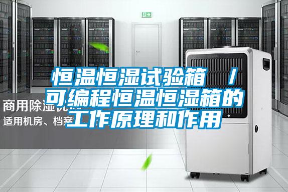 恒溫恒濕試驗箱 ／可編程恒溫恒濕箱的工作原理和作用