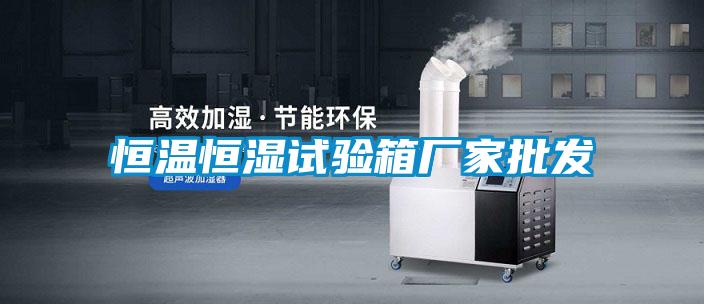 恒溫恒濕試驗箱廠家批發