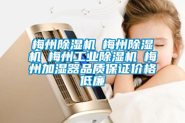 梅州除濕機☆梅州除濕機☆梅州工業除濕機☆梅州加濕器品質保證價格低廉