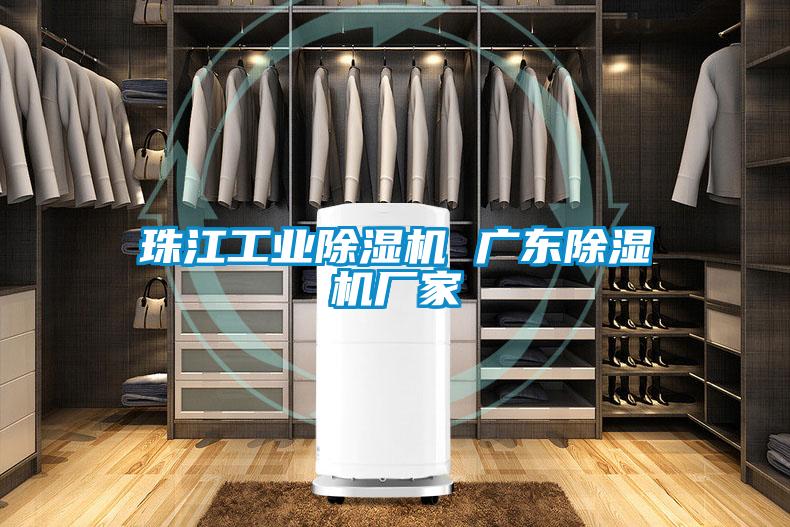 珠江工業(yè)除濕機(jī) 廣東除濕機(jī)廠家