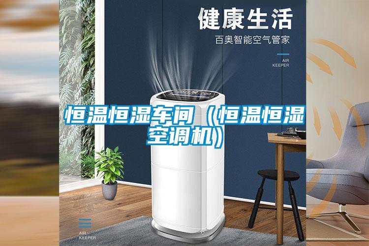 恒溫恒濕車間（恒溫恒濕空調(diào)機(jī)）