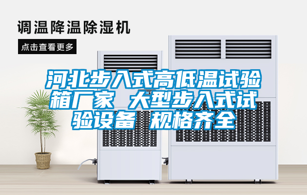 河北步入式高低溫試驗箱廠家 大型步入式試驗設備 規格齊全