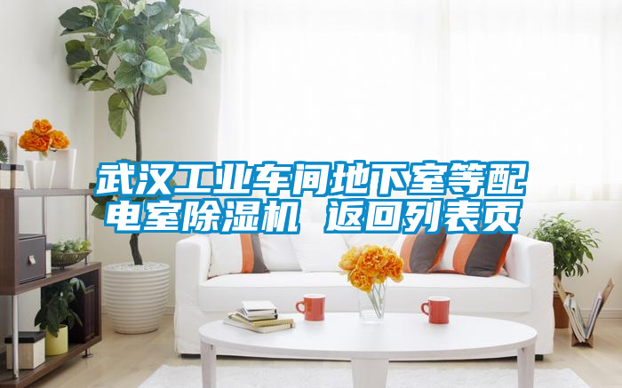 武漢工業車間地下室等配電室除濕機 返回列表頁