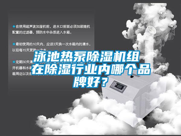 泳池?zé)岜贸凉駲C(jī)組 在除濕行業(yè)內(nèi)哪個品牌好？