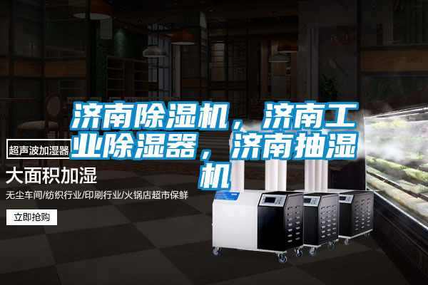 濟南除濕機，濟南工業(yè)除濕器，濟南抽濕機