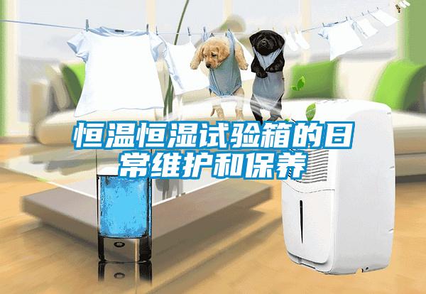 恒溫恒濕試驗箱的日常維護和保養