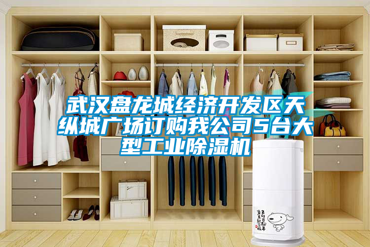武漢盤龍城經濟開發區天縱城廣場訂購我公司5臺大型工業除濕機