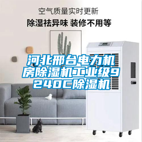河北邢臺電力機房除濕機工業級9240C除濕機