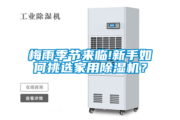 梅雨季節來臨!新手如何挑選家用除濕機？