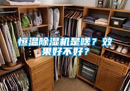 恒溫除濕機是啥？效果好不好？
