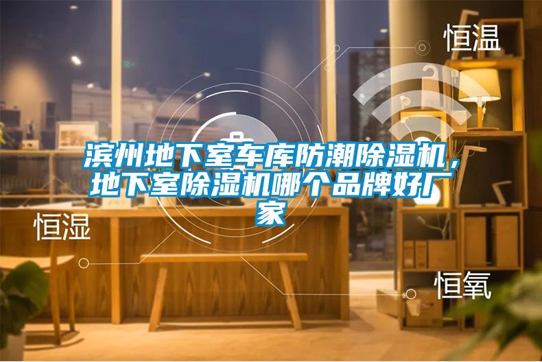濱州地下室車庫(kù)防潮除濕機(jī)，地下室除濕機(jī)哪個(gè)品牌好廠家