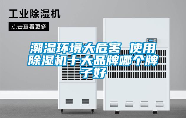 潮濕環境大危害 使用除濕機十大品牌哪個牌子好
