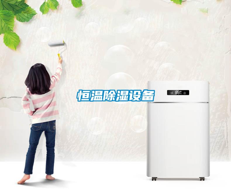 恒溫除濕設備