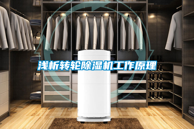 淺析轉(zhuǎn)輪除濕機工作原理