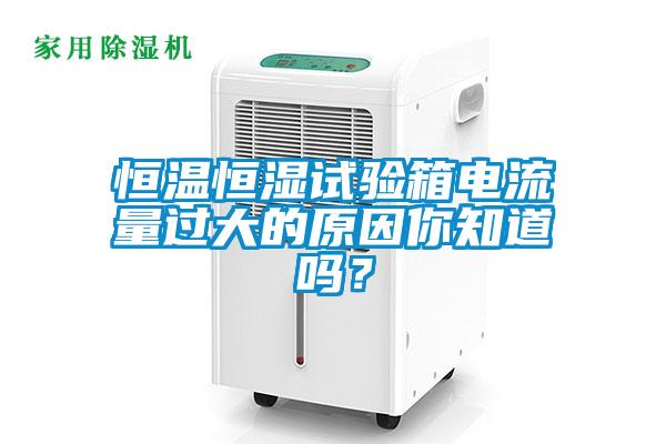 恒溫恒濕試驗箱電流量過大的原因你知道嗎？