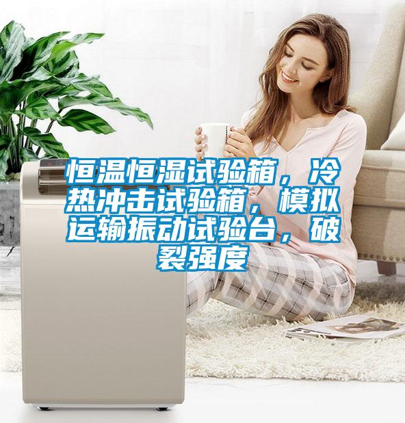 恒溫恒濕試驗箱，冷熱沖擊試驗箱，模擬運輸振動試驗臺，破裂強度