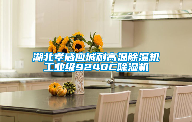 湖北孝感應(yīng)城耐高溫除濕機工業(yè)級9240C除濕機