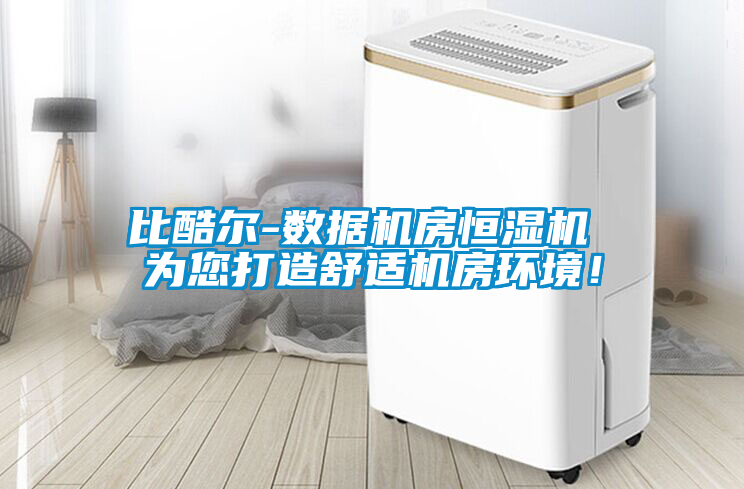 比酷爾-數據機房恒濕機 為您打造舒適機房環境！