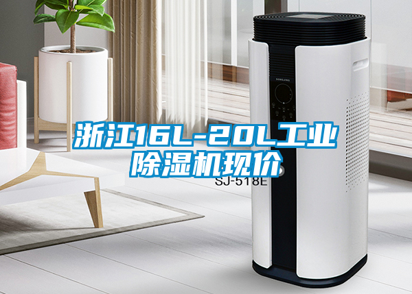 浙江16L-20L工業(yè)除濕機(jī)現(xiàn)價