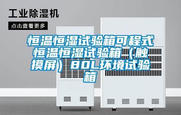 恒溫恒濕試驗箱可程式恒溫恒濕試驗箱（觸摸屏）80L環境試驗箱