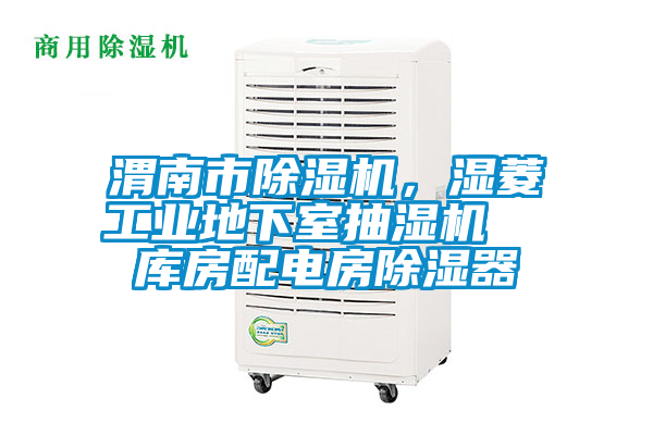 渭南市除濕機，濕菱工業(yè)地下室抽濕機  庫房配電房除濕器