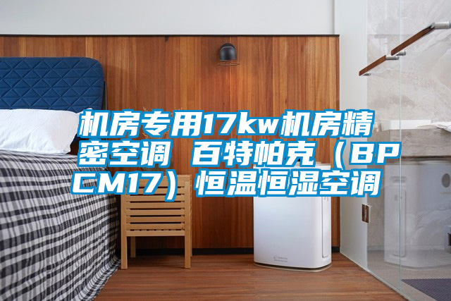 機房專用17kw機房精密空調 百特帕克（BPCM17）恒溫恒濕空調