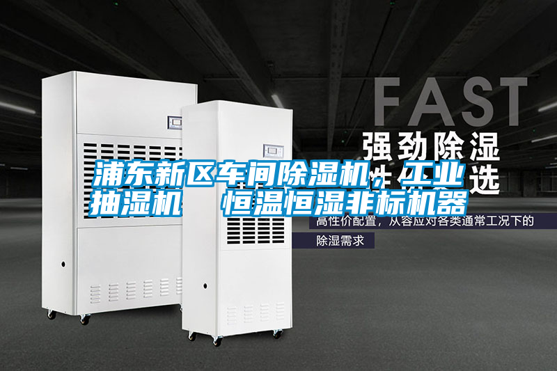 浦東新區車間除濕機，工業抽濕機  恒溫恒濕非標機器