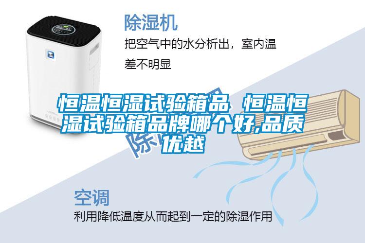 恒溫恒濕試驗箱品 恒溫恒濕試驗箱品牌哪個好,品質優越